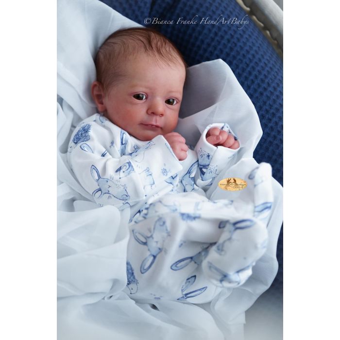 【リボーンドール】 FELÍCIA Material Reborn Felicia Material Reborn