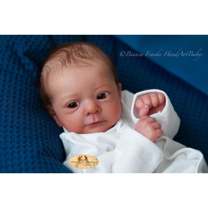 Material Reborn Felicia Material Reborn