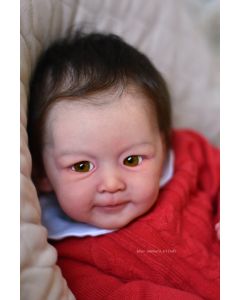 Kit Principe Henry 1° Edição P. D.(ver descrião e foto) ULTIMO 