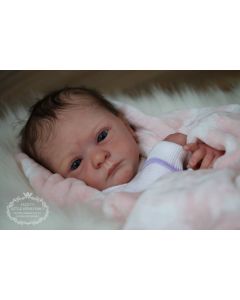 Kit Malea Ed. Limitada P.D. (ver descrição e foto) 