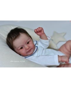 Kit Principe Henry 1° Edição (S/ Tampa da Casinha)