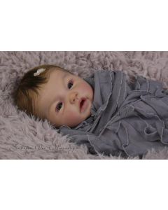 Kit Adeline c/ MEMBROS DA ARYA PROMOÇÃO 