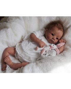 Kit Andi Acordado P. D. (ver descrição e foto) ULTIMOS  