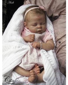 Kit Andi Dormindo ULTIMAS 