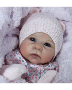 Kit Catrin C/ Barriga Feminnina ULTIMAS
