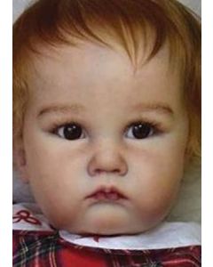 Charlotte Toddler - 11 meses P. D. ( Ver descrição e fotos) ULTIMO