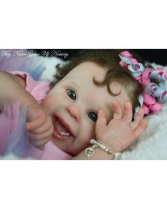 Kit Danene P. D. (ver fotos e descrição)  ULTIMO PROMOÇÃO 