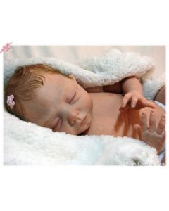 Kit Dawn ULTIMOS 