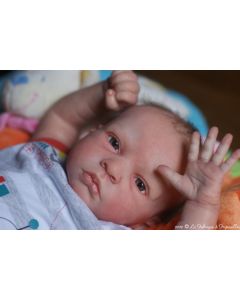 Kit Diana Ed. Lim P.D. (ver descri&ccedil;&atilde;o e foto) PROMO&Ccedil;&Atilde;O 100 JU&Iacute;ZO