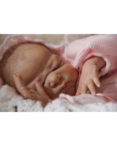 Kit Everleigh Ed. Lim - RARISSIMO ULTIMO