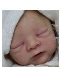 Kit Gaige - Ed. Lim - C/ Barriga e corpo PROMO&Ccedil;&Atilde;O 100 JU&Iacute;ZO