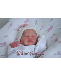 Kit Genevieve Ed. Lim. PD ( verificar fotos e descri&ccedil;ao)  PROMO&Ccedil;&Atilde;O 100 JU&Iacute;ZO