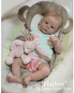 Kit Harlow Ed. Limitada ULTIMO