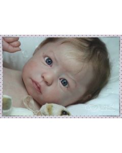 Kit Hylia Ed. Lim. C/ Barriga P. D. (ver descrição e foto) BLACK FRIDAY