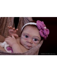 Kit Irelyn P. D. (ver descrição e foto) ULTIMOS LIQUIDA CARNAVAL 