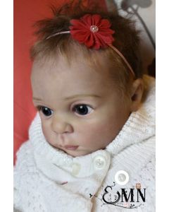 Kit Jake P. D. (ver descrição e foto) ULTIMO 