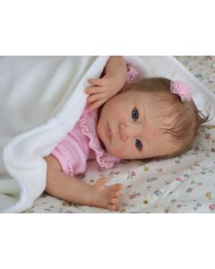 Kit Jeremiah (Membros da Shannon)