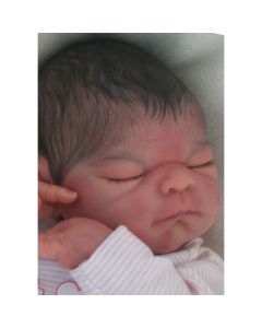 Kit Jesse P. D. (ver descri&ccedil;&atilde;o e foto) PROMO&Ccedil;&Atilde;O 100 JU&Iacute;ZO