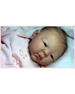 Kit Jiao P.D. (ver descri&ccedil;&atilde;o e foto) PROMO&Ccedil;&Atilde;O 100 JU&Iacute;ZO