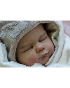 Kit Josiane P. D. (ver descrição e foto) ULTIMO 