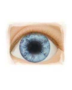 Olhos Light Blue 22mm ULTIMO