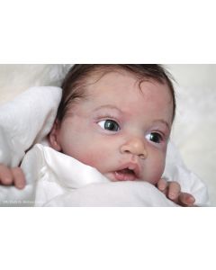 Kit Lulu P. D. (ver descrição e foto) ULTIMO 