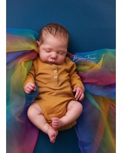 Kit Marley Ed Limitada  