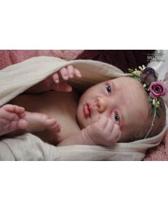 Kit Miranda Acordada P. D. (ver descrição e foto) SUPER QUEIMA