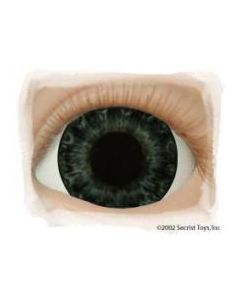 Olhos Darling Blue PROMO&Ccedil;&Atilde;O 100 JU&Iacute;ZO