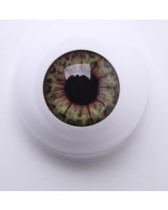 Olhos Golden Hazel PROMOÇÃO 100 JUÍZO