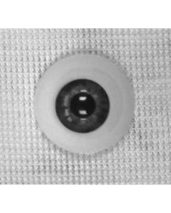 Olhos Newborn Gray-22mm