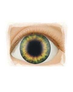 Olhos Sunrise Green ULTIMOS PROMOÇÃO 100 JUÍZO
