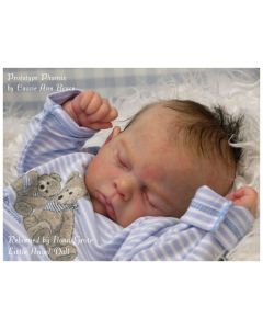 Kit Phoenix Ed. Limitada P. D. (Ver descrição e foto) ULTIMO 