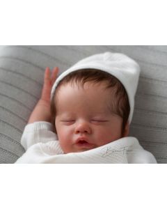 Kit Primrose Dormindo - Ed. Limitada P. D. (ver descrição e foto)