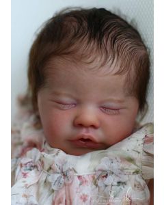 Kit Primrose Dormindo - Ed. Limitada P. D. (ver descrição e foto)