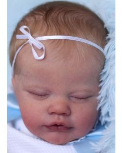 Kit Primrose Dormindo - Ed. Limitada P. D. (ver descrição e foto)