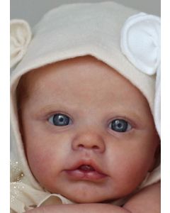 Kit Primrose Acordado - Ed. Limitada P. D. (ver descrição e foto) ULTIMO