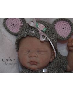 Kit QUINN Mini Ed. Limitada P.D. (ver descrição e foto) ULTIMO