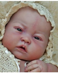 Kit Reine C/ Barriga ULTIMOS 