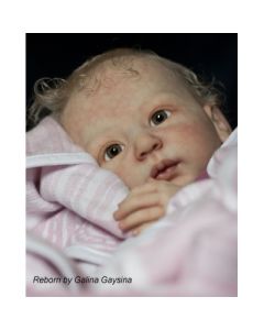 Kit Rosalie c/membros do Julchen P. D. (ver descrição e foto) PROMOÇÃO