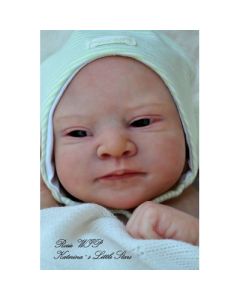 KIt  Rosie - Ed. Lim c/ Barriga P. D. (ver descrição e foto)