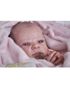 Kit Scarlet P.D. (ver descrição e foto) ULTIMO 