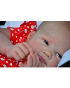 Kit Serene Ed. Limitada RARO ULTIMO SUPER QUEIMA