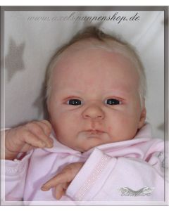 Kit Seraphina P. D. (ver descrição e foto) ULTIMO 