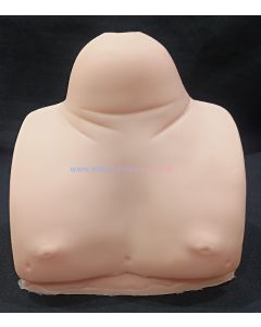 TORSO da Elena e Isabella (Não acompanha corpo e conector) 