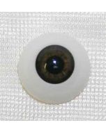 Olhos Baby Brown PROMOÇÃO 100 JUÍZO